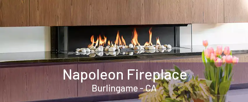 Napoleon Fireplace Burlingame - CA